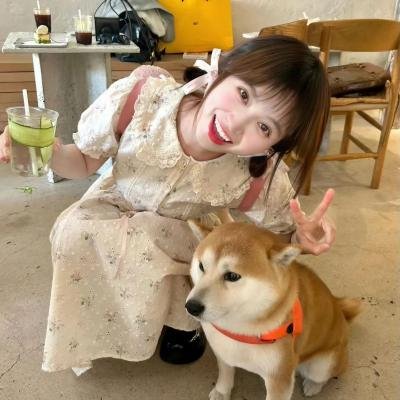 高速恋爱火